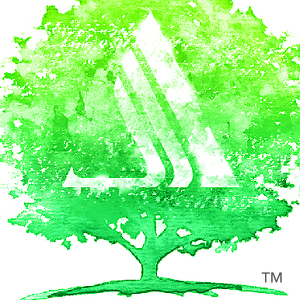 Team Page: Albemarle Foundation